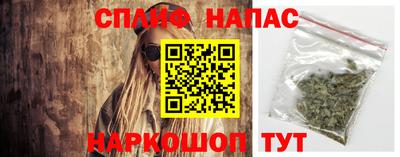 мяу мяу мука Кингисепп
